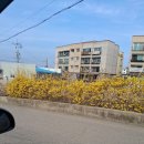 버그헌터119 파주센터