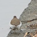 청도천6 이미지