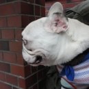 주식회사 고양이정원 이미지