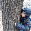 솔로몬어린이집 이미지