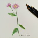 생활원예(기초반) | 화훼장식기능사 최종 합격했어요^^