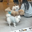 서울평생보습학원 | 꽃가루와 비염의 미친 콜라보