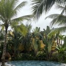 시에스타(SIESTA) | 베트남 다낭-호이안여행, 호이안 라시에스타리조트 후기 (la siesta hotel) +라스파 la spa