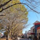 여주-1122 | [여주] 아이랑 가볼 만한 곳 여주 자전거 여행 자전거 대여