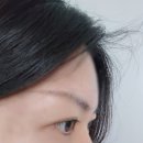 롯데프레시 동탄대로점 | [화성] 동탄역 속눈썹펌 잘하는 곳 영천동 속눈썹연장 맛집 뷰티크닉