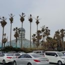 제주나드리