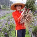 (주)참농부