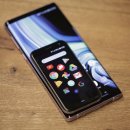 팜 (palm) 이미지