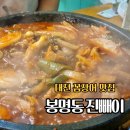 6802 | 대전 꼼장어 맛집 진빼이 봉명점 산 꼼장어 철판볶음