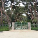 사능1리 이미지