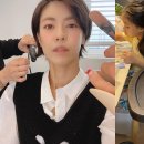 볼모아 이미지