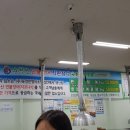 순천만영어조합법인 이미지