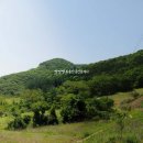 산소농장 이미지