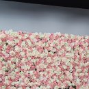 봄그리고가을리조트 | 제주 동쪽 바다뷰 가성비숙소 봄그리고가을 리조트 내돈내산후기