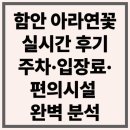 연꽃 | 함안 아라연꽃 실시간 후기｜주차·입장료·편의시설 완벽 분석