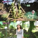 명화축산 이미지