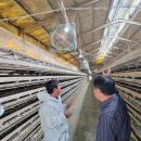 경남축사 이미지