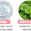 코스모페이지 이미지