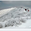 모두건강 이미지