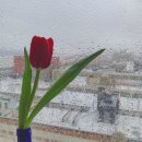 솔로몬부동산 이미지