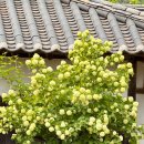 테마5.1 이미지