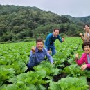 “경북 농업대전환”... 영덕에서 소득배당 2호 모델 탄생