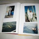 바다파파 이미지