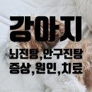 은진탕 이미지