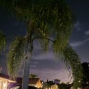 프리 당구클럽 이미지