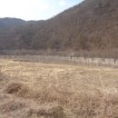 무풍면010 이미지