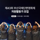 영광자원 | 제43회 부산국제단편영화제(BISFF) 자원활동가 서류•면접•합격 후기 | 홍보팀 데일리, 현장기록