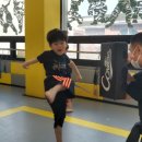 광덕태권도체육관 이미지