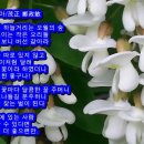 구로-공단-구로-144 이미지