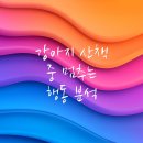산책동물병원 이미지