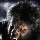 울프맨 (The Wolf Man, 2009) 영화 예고편 이미지