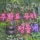 커몽도그 이미지