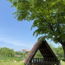 한강신도시 호수공원 | [김포] 두돌 아기랑 한강신도시 호수공원 피크닉 (장미원 추천, 피크닉은 아쉬움)
