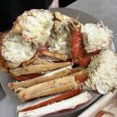 영덕수산 | [조일수산] 영덕 축산항 어시장 대게 포장 맛집 솔직후기