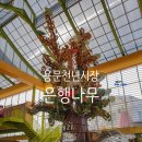 용문상회 이미지