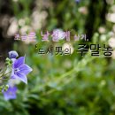 리언농장 이미지