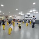 대세 키즈 태권도장 | 연산동 유치부 대세키즈태권도 후기