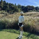 블루헤런cc 후기 : 예쁜 뷰에 전략적인 재미까지! 메타세쿼이아 시그니처홀 + 생맥주 맛집 (경기도 여주...