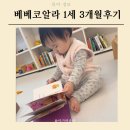 독서에 주도성이 생기다 그레이트북스 베베코알라 3개월 노출 후기