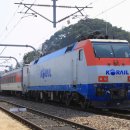 H1681 이미지