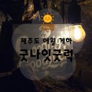 굿나잇&amp;굿럭 | [공지] 제주도 혼여 게하 추천 , 애월 굿나잇굿럭 최신 후기 (25년 8월 1일)