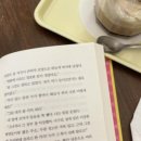 어스어스(USUS)