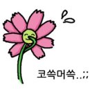 리틀빅히어로 | 호주 간호사 공립 병원 취업 후기 3. Resume & CV letter