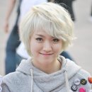 헬로컷 Daum카페