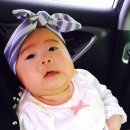 +555/79일 외할비랑데이트/빨래거리 주인 다알아요