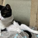 두리그루밍 이미지